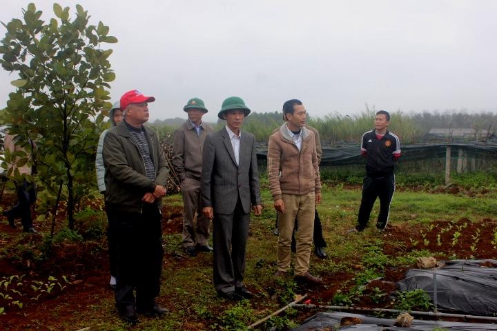 Lãnh đạo UBND huyện thăm các mô hình sản xuất trên địa bàn