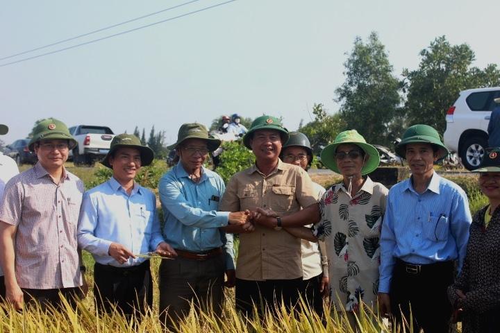 Chủ tịch UBND tỉnh Võ Văn Hưng kiểm tra tình hình thu hoạch lúa vụ Đông Xuân trên địa bàn