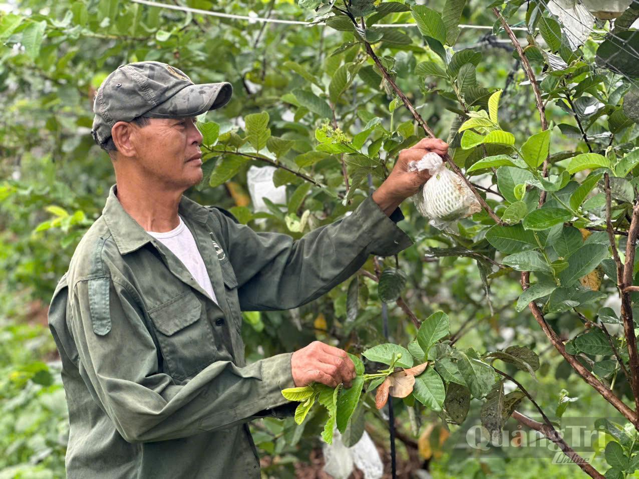 Khơi dậy khát vọng thoát nghèo